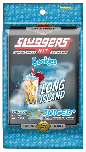 Sluggers Long Island